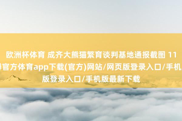 欧洲杯体育 成齐大熊猫繁育谈判基地通报截图 11月6日-世博官方体育app下载(官方)网站/网页版登录入口/手机版最新下载