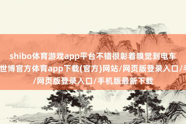 shibo体育游戏app平台不错很彰着嗅觉到电车的续航变短了-世博官方体育app下载(官方)网站/网页版登录入口/手机版最新下载