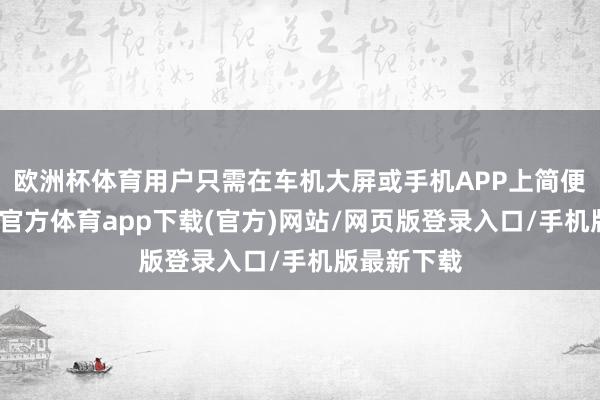 欧洲杯体育用户只需在车机大屏或手机APP上简便操作-世博官方体育app下载(官方)网站/网页版登录入口/手机版最新下载